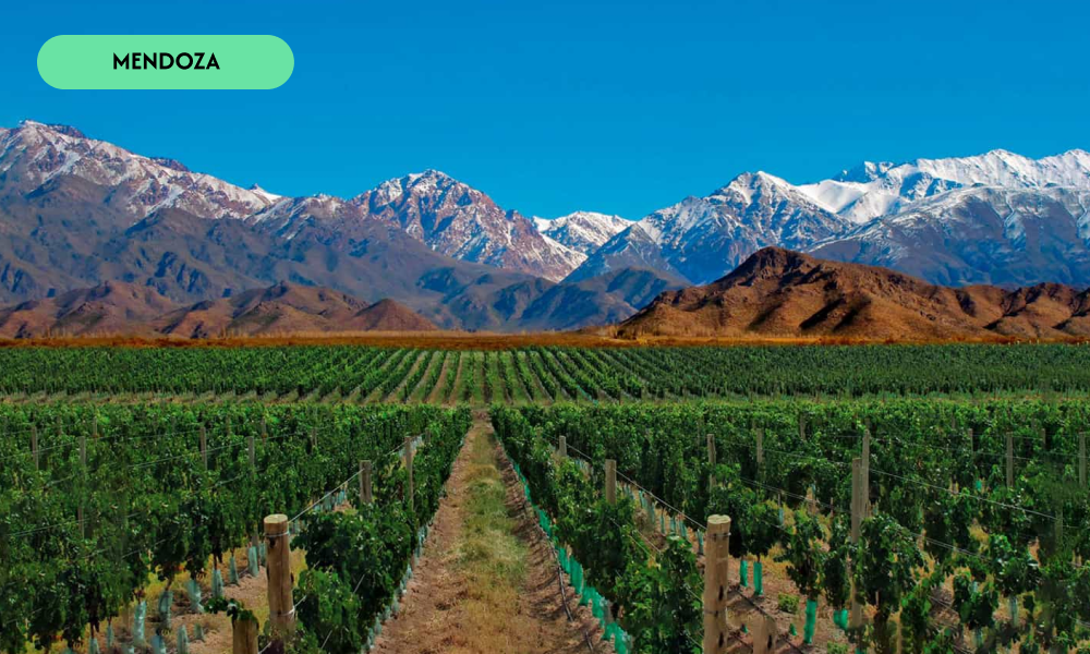 mendoza